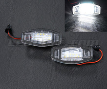 Pakiet modułów LED do tylnej tablicy rejestracyjnej Honda Accord 7G