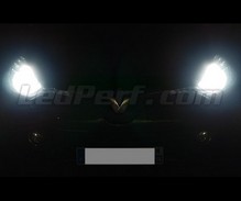 Pakiet żarówek reflektorów Xenon Effect do Renault Clio 4