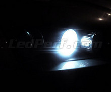 Pakiet świateł postojowych LED (xenon biały) do Alfa Romeo Brera
