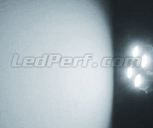 Pakiet świateł postojowych LED (xenon biały) do Alfa Romeo GTV 916