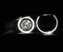 Pakiet angel eyes H8 LED (biały czysty 6000K) do BMW X5 (E70) - Standard