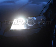Pakiet świateł do jazdy dziennej (xenon biały) do Audi A6 C6