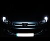 Pakiet świateł postojowych LED (xenon biały) do Peugeot 206