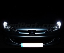 Pakiet świateł postojowych LED (xenon biały) do Peugeot 206