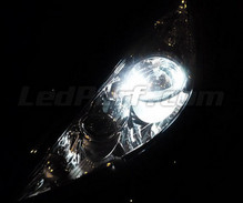 Pakiet świateł postojowych LED (xenon biały) do Peugeot 207