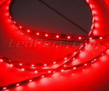 Giętka taśma 24V o długości 1 metra (60 LED SMD) czerwony