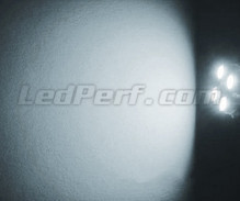 Pakiet świateł postojowych LED (xenon biały) do Suzuki Grand Vitara