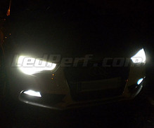 Pakiet żarówek świateł przeciwmgielnych Xenon Effect do Audi A5 8T