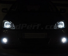 Pakiet żarówek reflektorów Xenon Effect do Toyota Corolla E120