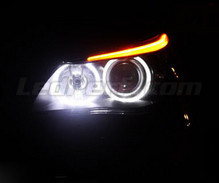 Pakiet Angel eyes LED BMW Serii 5 E60 E61 Ph 2 (LCI) - Z xenon oryginalnym - MTEC V3.0