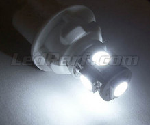Pakiet świateł postojowych LED (xenon biały) do Chevrolet Corvette C6