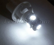 Pakiet świateł postojowych LED (xenon biały) do Toyota Rav4 MK3