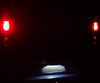 Pakiet oświetlenia LED tablicy rejestracyjnej (xenon biały) do Renault Trafic 2