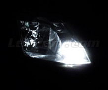 Pakiet świateł postojowych LED (xenon biały) do Renault Modus
