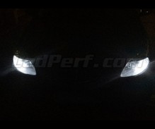 Pakiet świateł postojowych LED (xenon biały) do Lancia Ypsilon