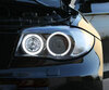 Pakiet angel eyes LED (biały czysty) do BMW Serii 1 faza 2 - MTEC V3.0