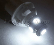 Pakiet świateł postojowych LED (xenon biały) do Volkswagen Passat CC