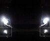 Pakiet świateł przeciwmgielnych LED (xenon biały) do Ford Focus MK2