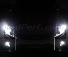 Pakiet świateł przeciwmgielnych LED (xenon biały) do Ford Focus MK2