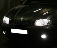 Pakiet żarówek reflektorów Xenon Effect do Seat Ibiza 6L