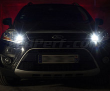 Pakiet świateł postojowych LED (xenon biały) do Ford Kuga