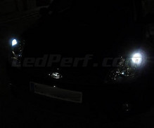 Pakiet świateł postojowych LED (xenon biały) do Ford Fiesta MK6
