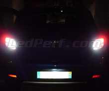 Pakiet LED (biały 6000K) świateł cofania do Dacia Sandero 2