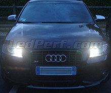 Pakiet świateł do jazdy dziennej (xenon biały) do Audi A3 8P Bez facelift
