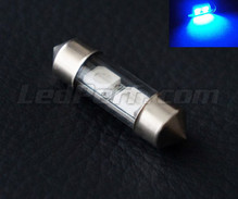 Żarówka rurkowa 31 mm LED niebieskie - C3W