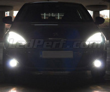 Pakiet żarówek świateł przeciwmgielnych Xenon Effect do Peugeot 308 II