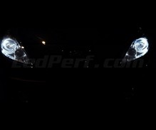 Pakiet świateł postojowych LED (xenon biały) do Peugeot 206+