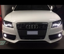 Pakiet żarówek świateł przeciwmgielnych Xenon Effect do Audi A4 B8