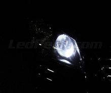 Pakiet świateł postojowych LED (xenon biały) do Volkswagen Polo 9N3