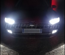 Pakiet żarówek reflektorów Xenon Effect do Volkswagen Passat B8