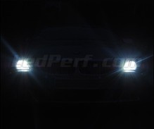 Pakiet żarówek reflektorów Xenon Effect do BMW serii 6 (E63 E64)
