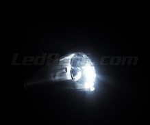 Pakiet świateł postojowych LED (xenon biały) do Fiat Grande Punto