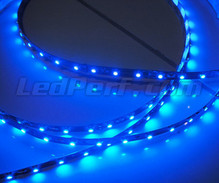 Giętka taśma standard o długości 1 metra (60 LED SMD) niebieski
