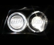 Pakiet żarówek świateł kierunkowych Xenon effect do BMW serii 1 (E81 E82 E87 E88)