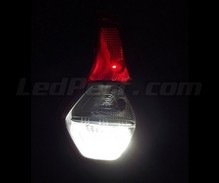 Pakiet LED (biały 6000K) świateł cofania do Dacia Lodgy
