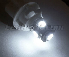 Pakiet świateł postojowych LED (xenon biały) do Mercedes Klasa E (W124)