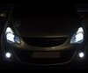 Pakiet żarówek reflektorów Xenon Effect do Opel Corsa D